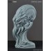 Photo3: THE ART OF DOMINIC QWEK / Cthulhu - Premium Scale Bust, Resin Model Kit (Free Shipping) (3)