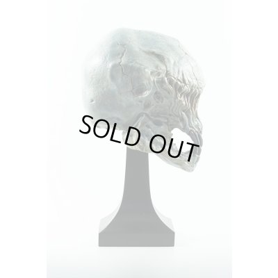 Photo13: THE ART OF DOMINIC QWEK / TEMPLAR SKULL, Resin Model Kit (Free Shipping)