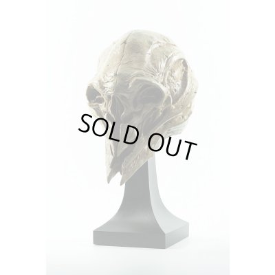 Photo12: THE ART OF DOMINIC QWEK / SPARTAN SKULL, Resin Model Kit (Free Shipping)