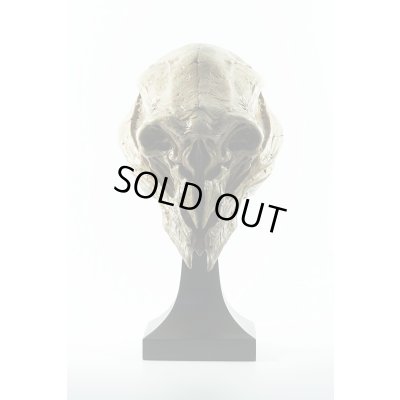 Photo11: THE ART OF DOMINIC QWEK / SPARTAN SKULL, Resin Model Kit (Free Shipping)