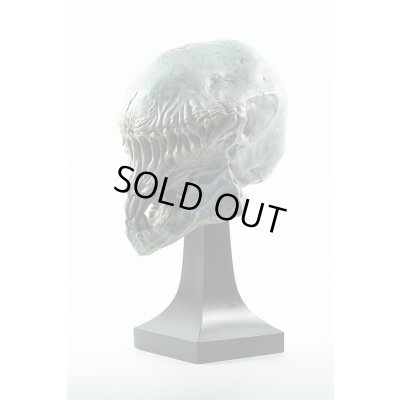 Photo12: THE ART OF DOMINIC QWEK / TEMPLAR SKULL, Resin Model Kit (Free Shipping)