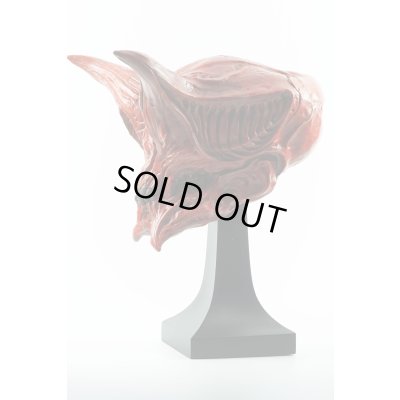 Photo12: THE ART OF DOMINIC QWEK / GUARDIAN SKULL, Resin Model Kit (Free Shipping)