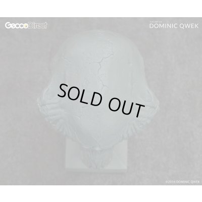 Photo9: THE ART OF DOMINIC QWEK / TEMPLAR SKULL, Resin Model Kit (Free Shipping)