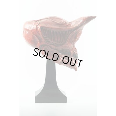 Photo13: THE ART OF DOMINIC QWEK / GUARDIAN SKULL, Resin Model Kit (Free Shipping)