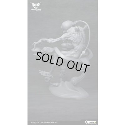 Photo4: Alien Pilot 1/6 Scale Resin Model Kit ~Sculpted by Erick Sosa~