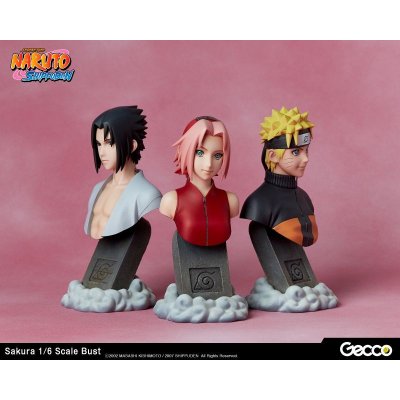 Photo14: Naruto Shippuden, Sakura Haruno 1/6 Scale Bust