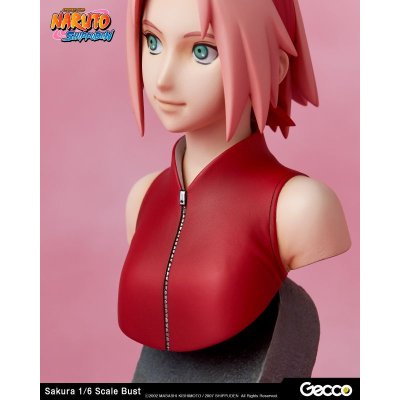 Photo12: Naruto Shippuden, Sakura Haruno 1/6 Scale Bust