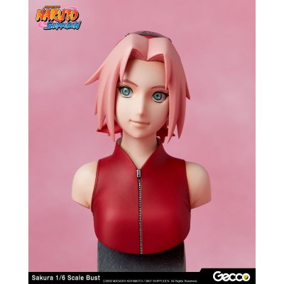 Photo11: Naruto Shippuden, Sakura Haruno 1/6 Scale Bust