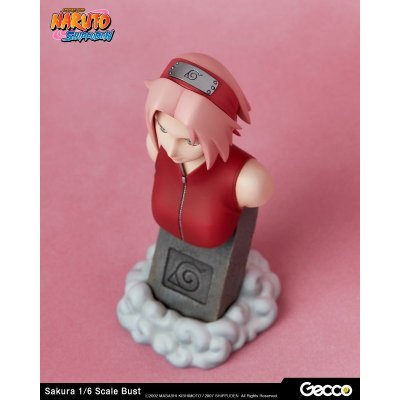 Photo13: Naruto Shippuden, Sakura Haruno 1/6 Scale Bust