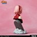 Photo8: Naruto Shippuden, Sakura Haruno 1/6 Scale Bust