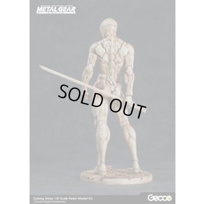 Photo5: METAL GEAR SOLID, Cyborg Ninja 1/6 Scale Resin Model Kit