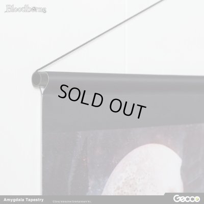 Photo7: Bloodborne, Amygdala Tapestry